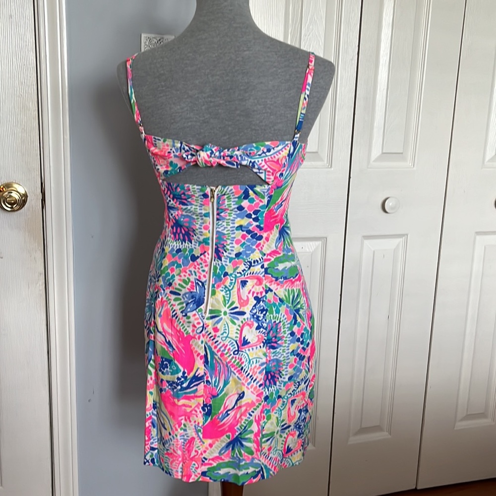 Lilly Pulitzer Shelli Dress - Picture 5 of 10